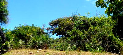 High-End 8 Acres Beach Plot on Sale in Msambweni Beach. - Image 14