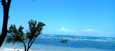 High-End 8 Acres Beach Plot on Sale in Msambweni Beach. - Image 7