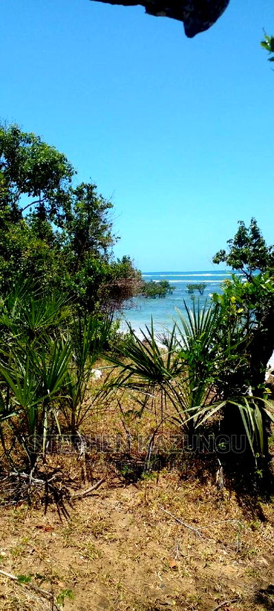 High-End 8 Acres Beach Plot on Sale in Msambweni Beach. - Image 3