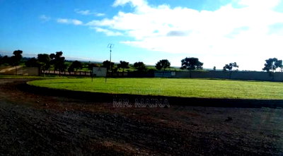 Prime 0.25 Acre's Migaa Golf Estate Kiambu - Image 6