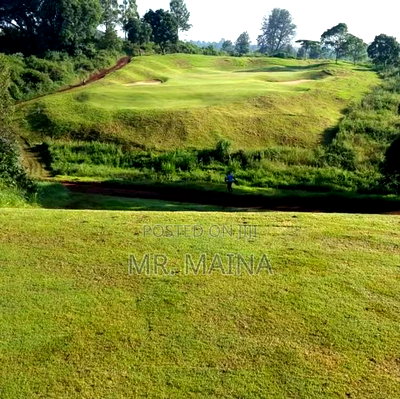 Prime 0.25 Acre's Migaa Golf Estate Kiambu - Image 3
