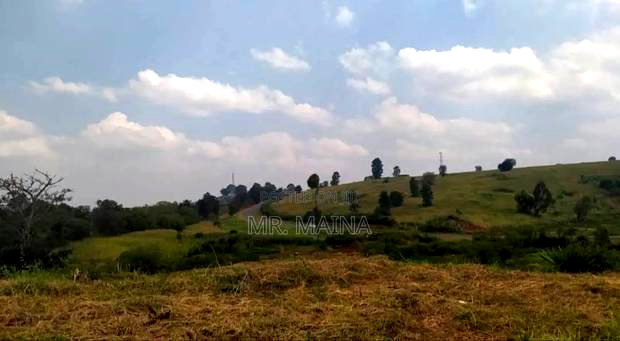 Prime 0.25 Acre's Migaa Golf Estate Kiambu