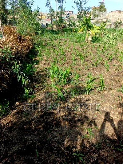 50x100 Pipeline Nakuru - Image 1