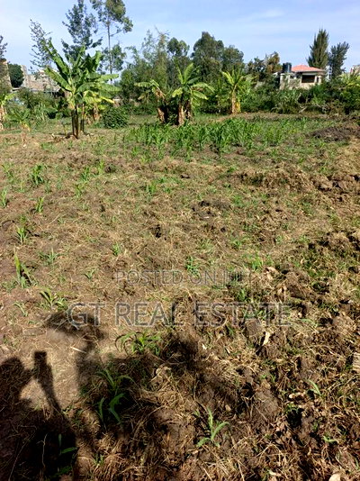 50x100 Pipeline Nakuru - Image 4