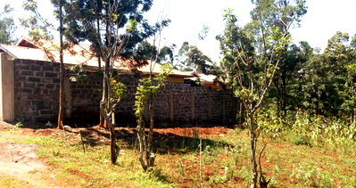 1/8 Acre Garden Plot in Wangige