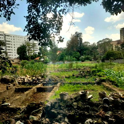 1 Acre Commercial Plot for Sale in Lavington - Image 3