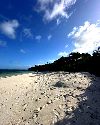 25 Acres Beachfront at KSh 17M
