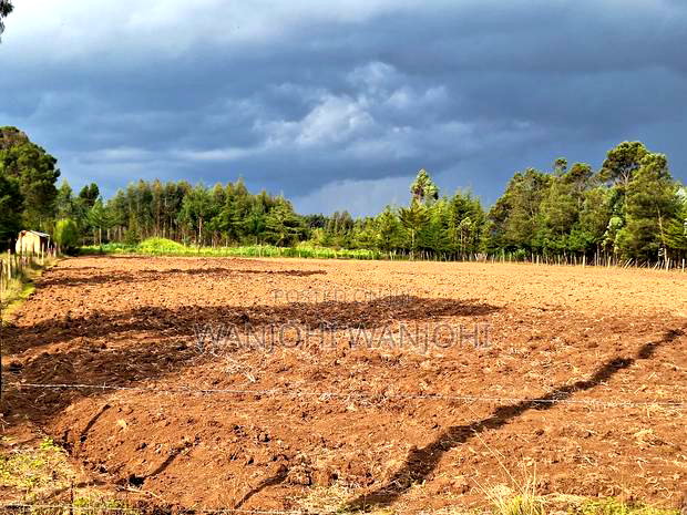 1/2 Acre Plots in Nyahururu