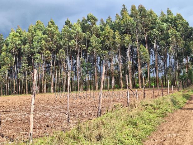 1/2 Acre Plots in Nyahururu
