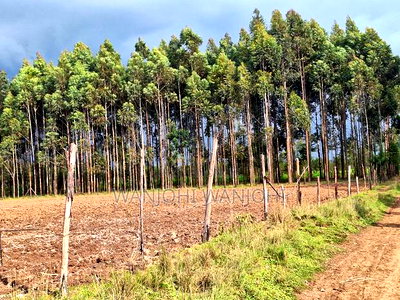 1/2 Acre Plots in Nyahururu - Image 6