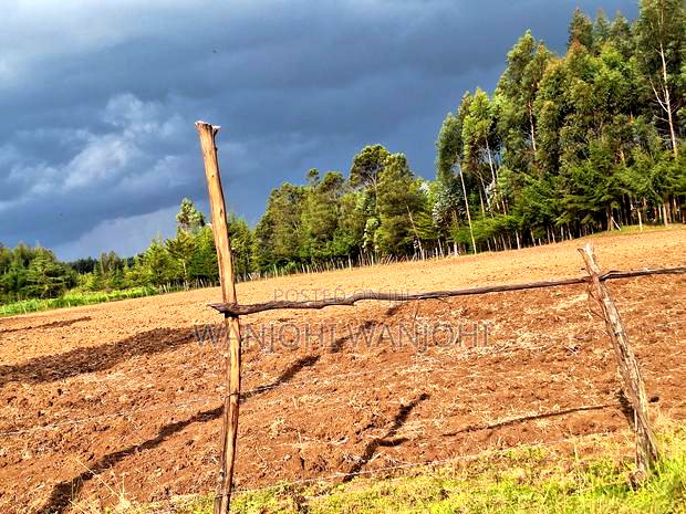 1/2 Acre Plots in Nyahururu
