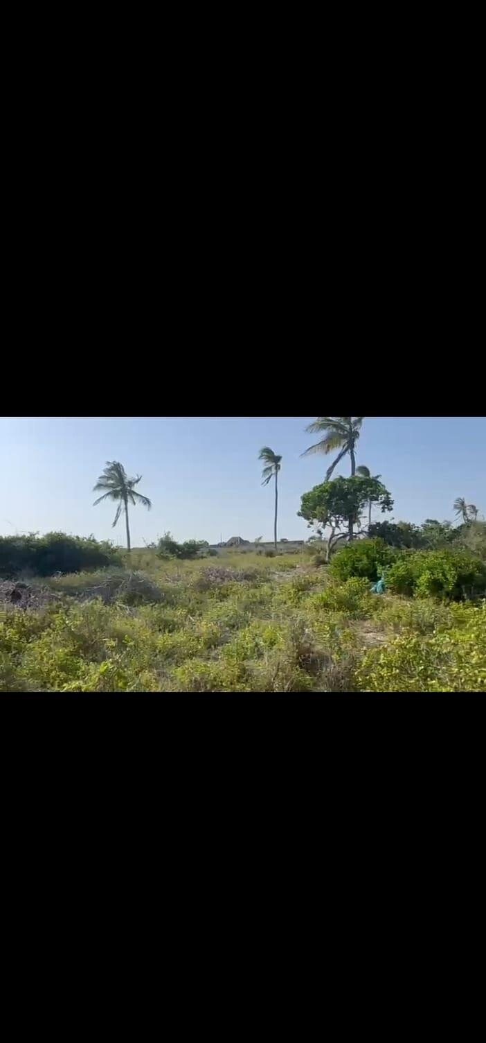 9.6-Acre Beachfront Land in Watamu