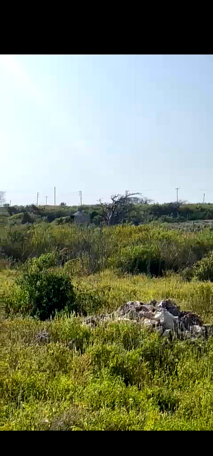 9.6-Acre Beachfront Land in Watamu
