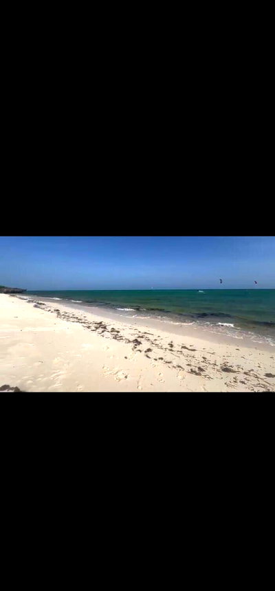 9.6-Acre Beachfront Land in Watamu