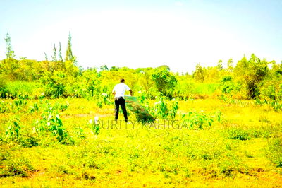 Commercial Prime Plots for Sale Kisumu - Image 1