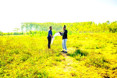 Commercial Prime Plots for Sale Kisumu - Image 3