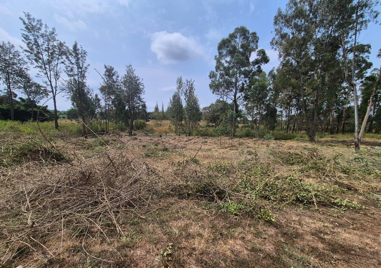 2-Acre Land in Ruiru's Oaklands