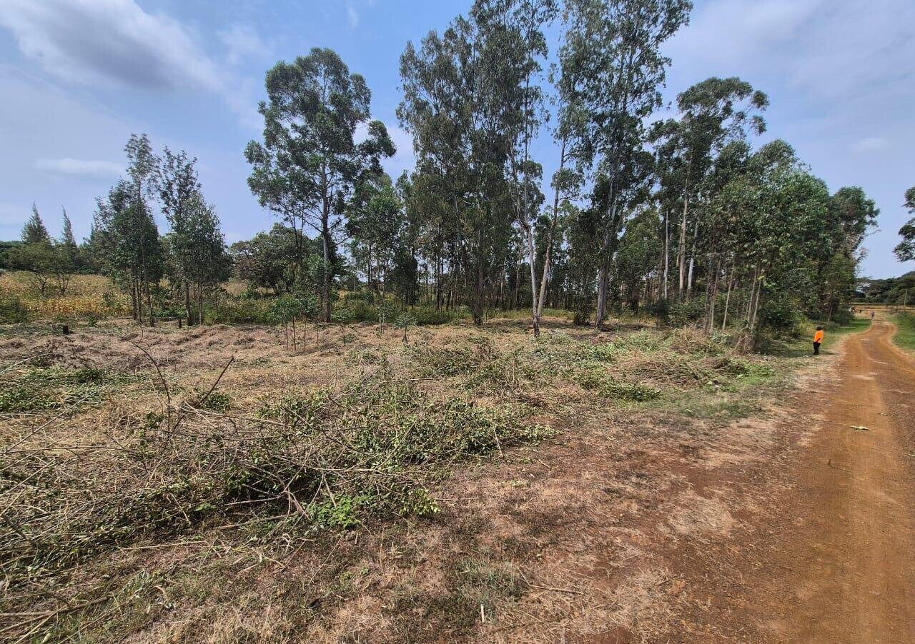 2-Acre Land in Ruiru's Oaklands