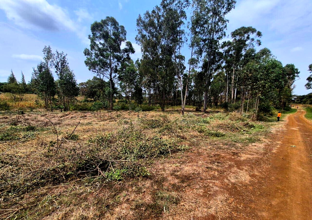 2-Acre Land in Ruiru's Oaklands