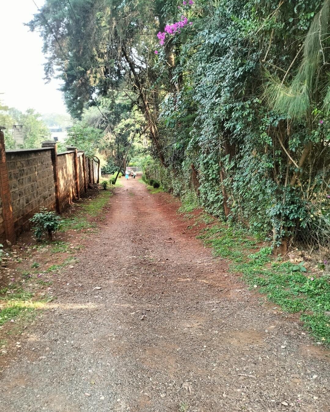 2-Acre Westlands Gem at KSh 800M