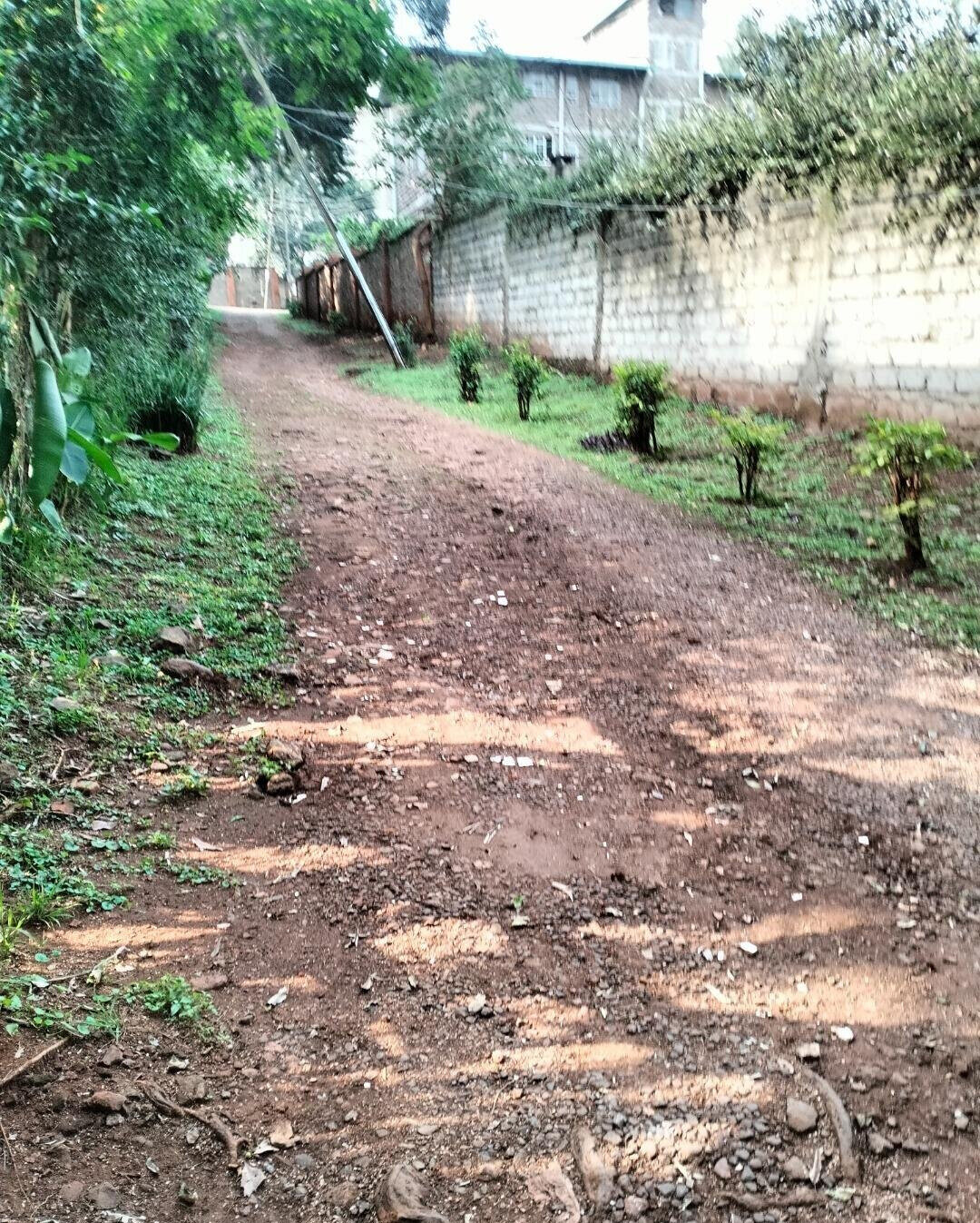 2-Acre Westlands Gem at KSh 800M
