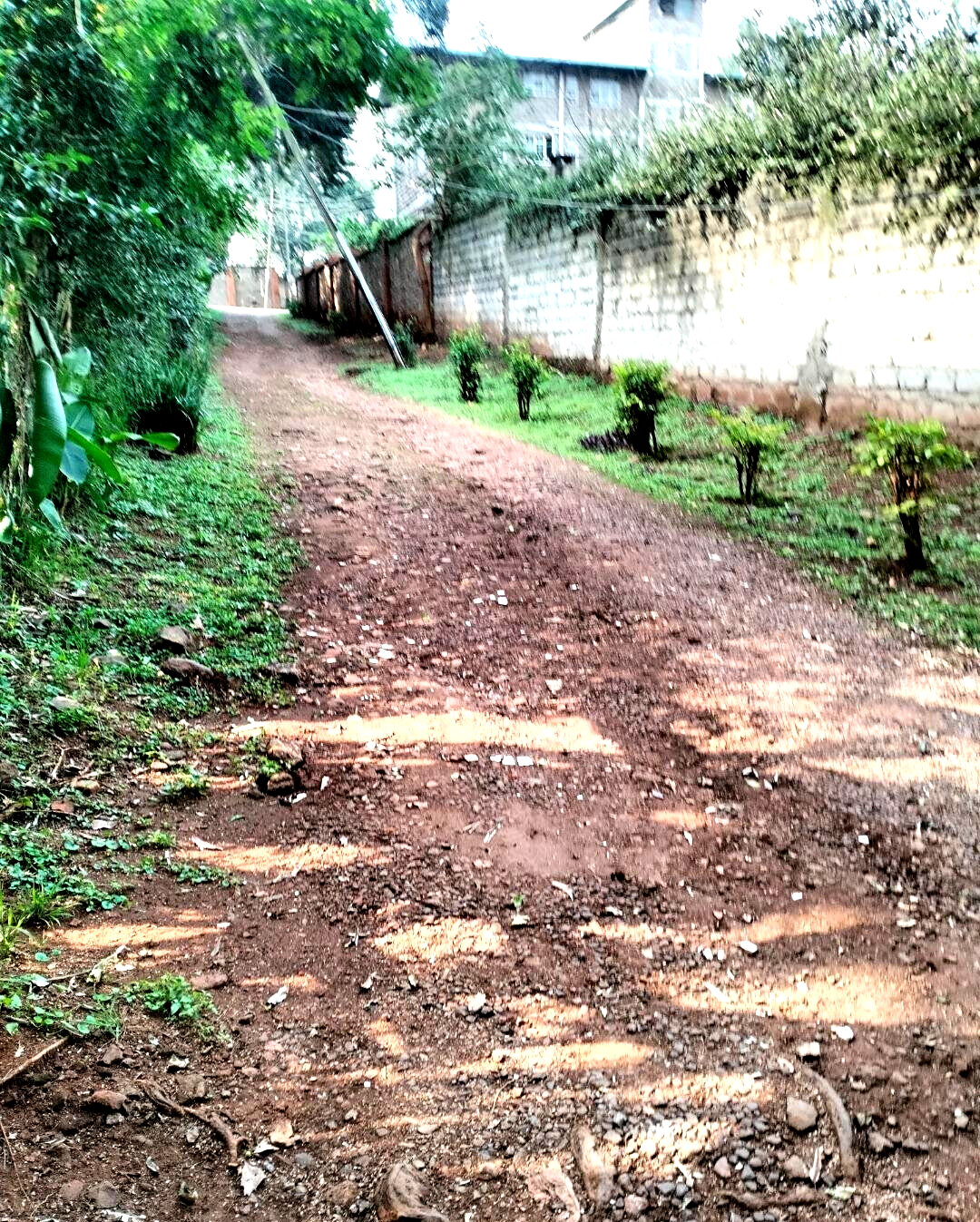 2-Acre Westlands Gem at KSh 800M