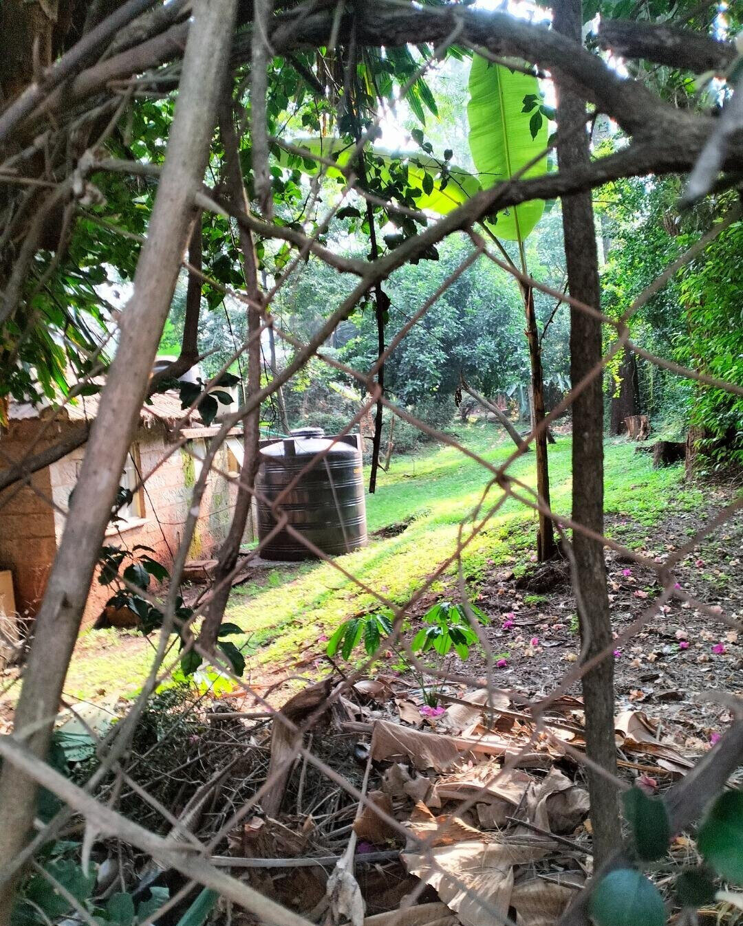 2-Acre Westlands Gem at KSh 800M