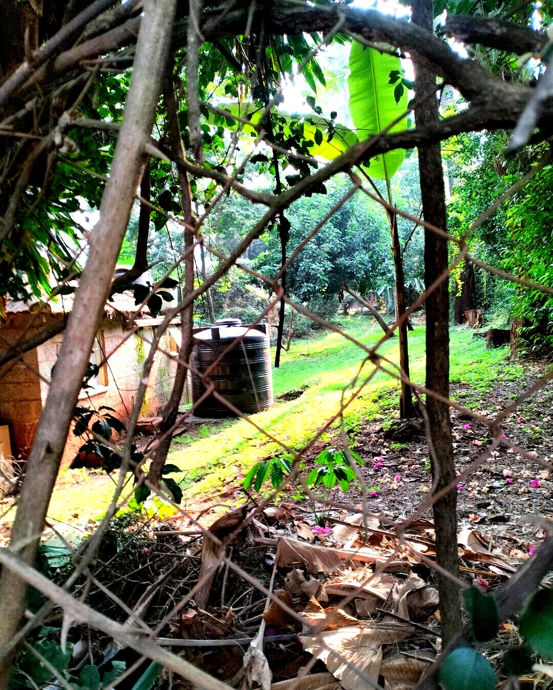 2-Acre Westlands Gem at KSh 800M