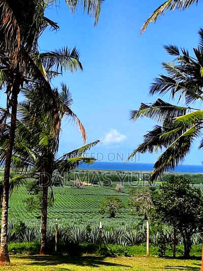 Furnished 3bdrm Bungalow in Vipingo for sale - Image 7