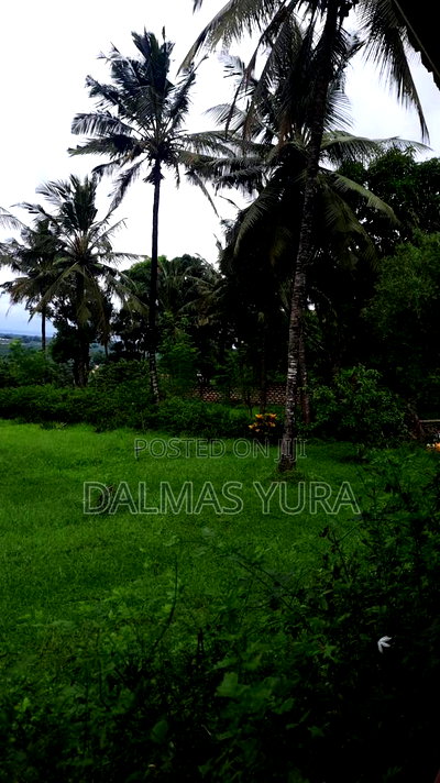 Furnished 3bdrm Bungalow in Vipingo for sale - Image 3