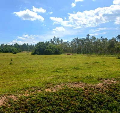 3-Acre Kapuonja Land