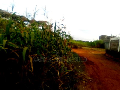 40x80 Plot Matropi Estate Kiambu - Image 1