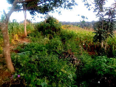 40x80 Plot Matropi Estate Kiambu - Image 3