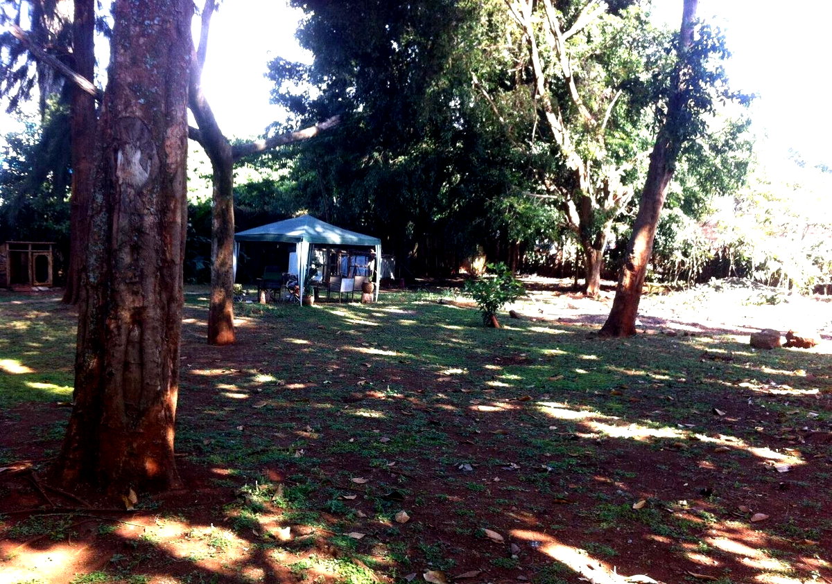 KSh 300M Gigiri Plot