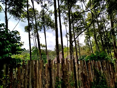 Exclusive Land for Sale in Karen - Image 15