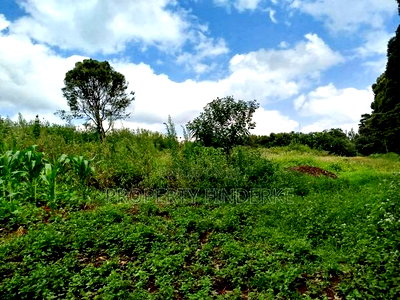 Exclusive Land for Sale in Karen - Image 12