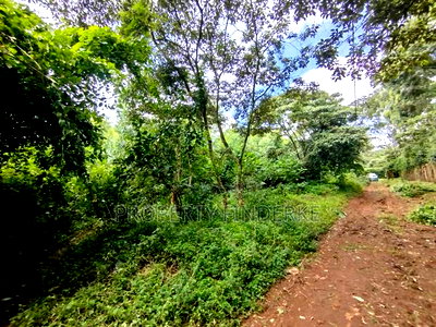 Exclusive Land for Sale in Karen - Image 16