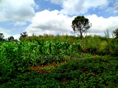 Exclusive Land for Sale in Karen - Image 1