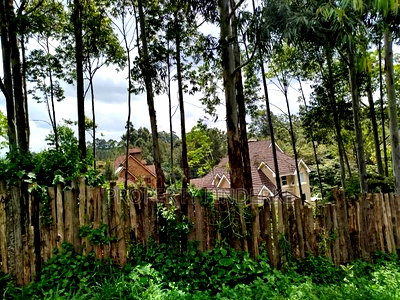 Exclusive Land for Sale in Karen - Image 7