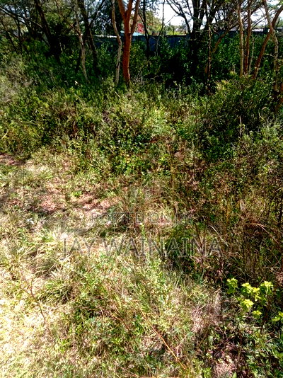 Land for Sale in Rimpa, Ongata Rongai - Image 5