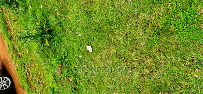 Commercial Plot for Sale in Kadonye After Hillside Eldoret - Image 15