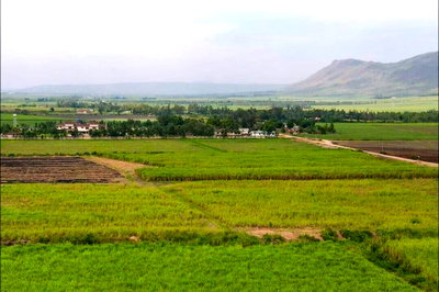 KSh 770K 50x100 Garden Plot