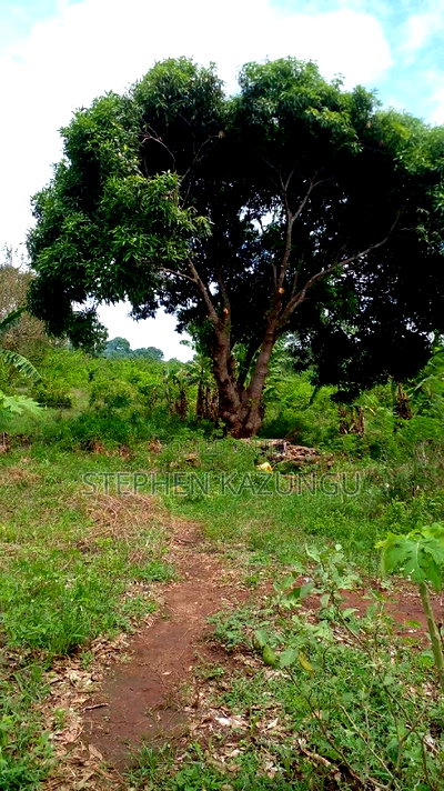 1 Acre Prime Plot on Sale at Kinondo in Ukunda Urban Zone. - Image 6