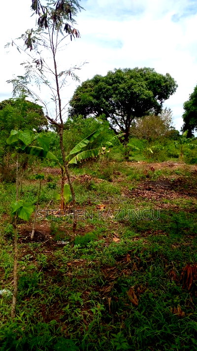 1 Acre Prime Plot on Sale at Kinondo in Ukunda Urban Zone. - Image 8
