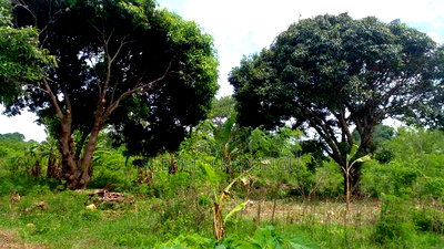 1 Acre Prime Plot on Sale at Kinondo in Ukunda Urban Zone. - Image 5