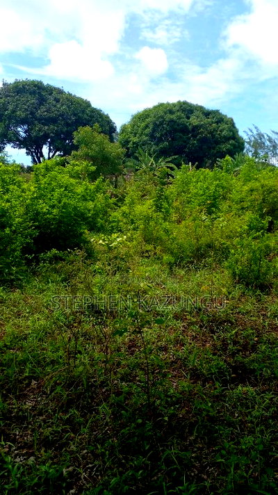 1 Acre Prime Plot on Sale at Kinondo in Ukunda Urban Zone. - Image 7