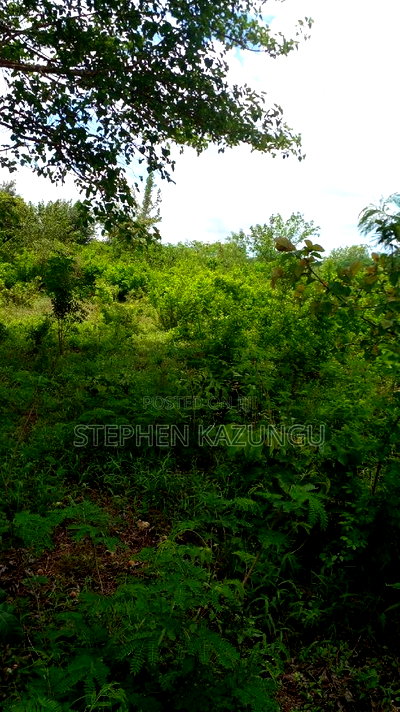 1 Acre Prime Plot on Sale at Kinondo in Ukunda Urban Zone. - Image 9
