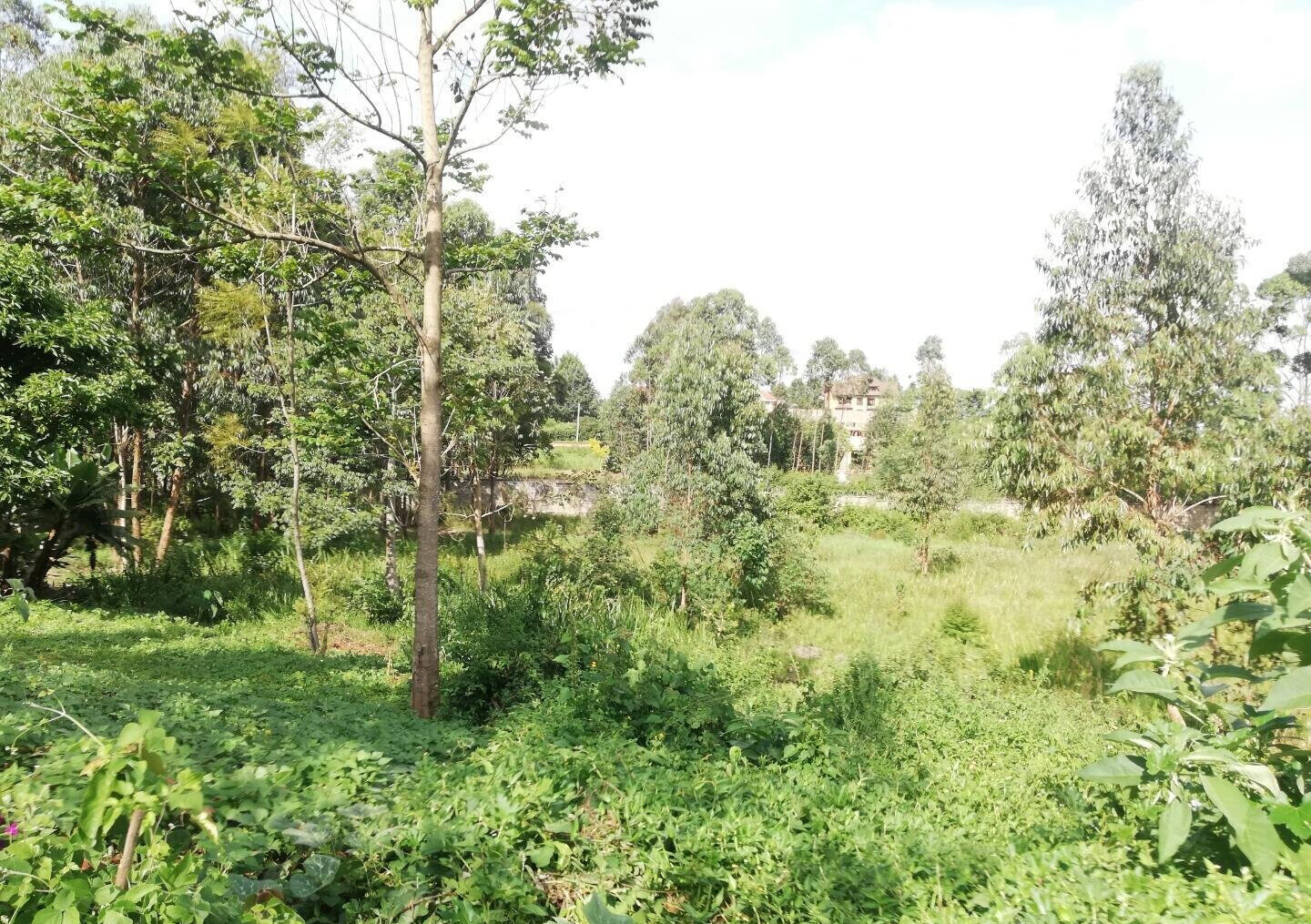 Garden Oasis on Half Acre