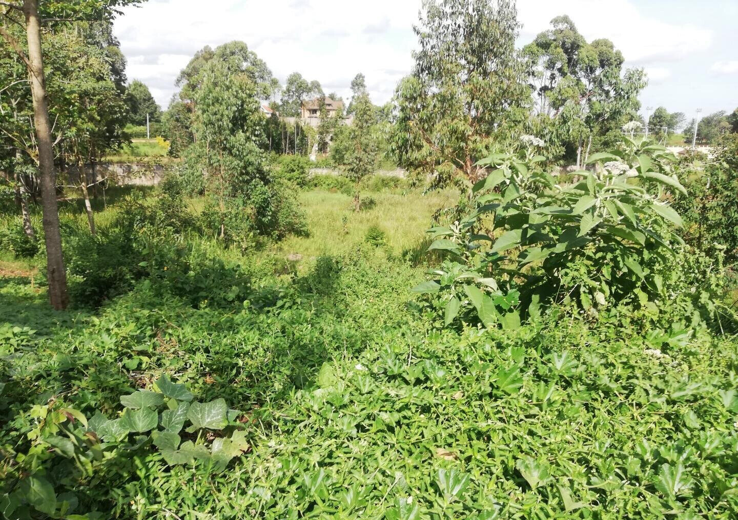 Garden Oasis on Half Acre