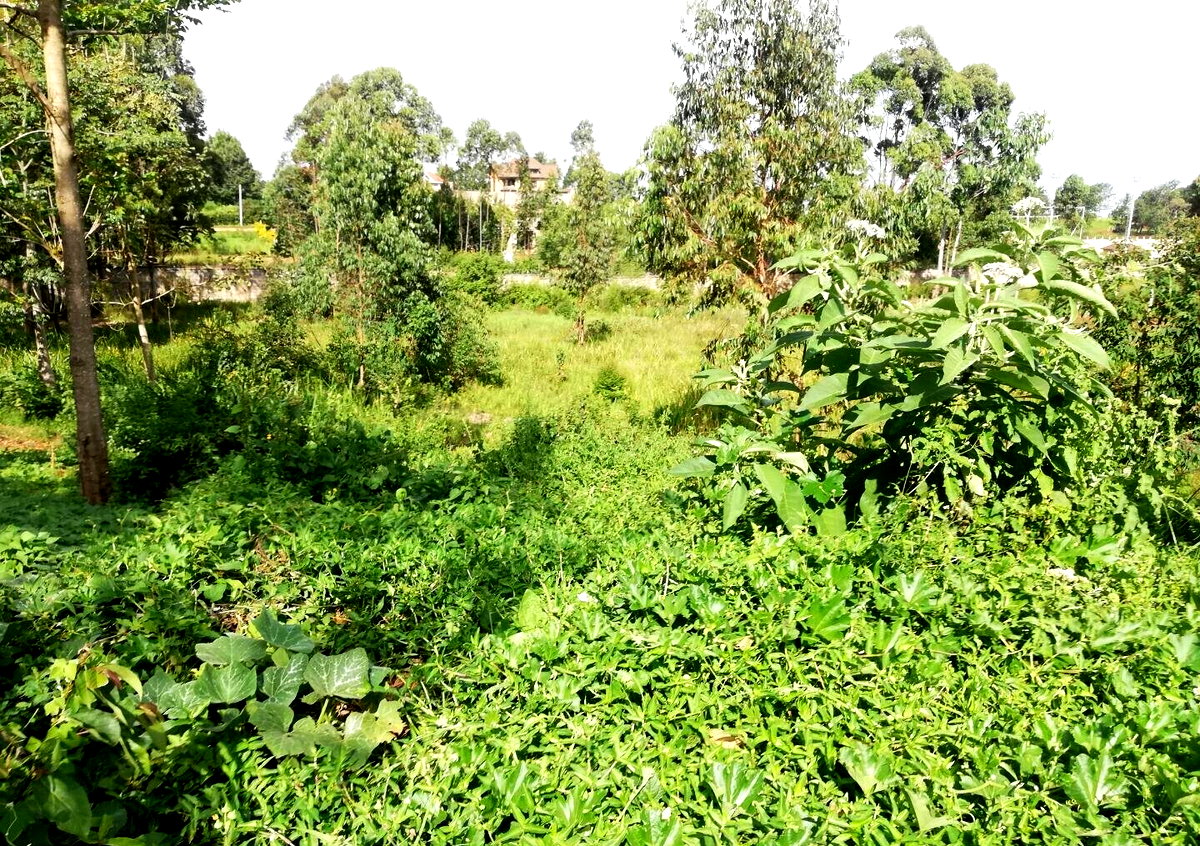 Garden Oasis on Half Acre